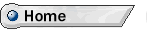 home button